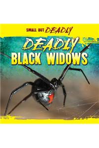 Deadly Black Widows