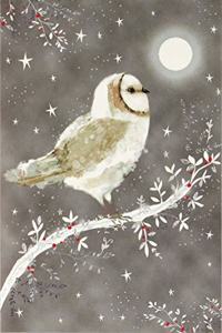 Mini Box: Starry Night Owl