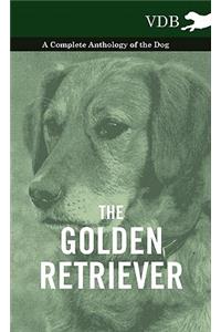 The Golden Retriever - A Complete Anthology of the Dog