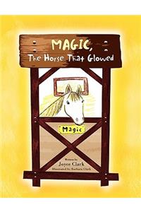 Magic, The Horse That Glowed