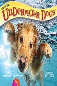 Underwater Dogs 2019 Day-to-Day Calendar