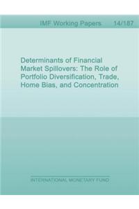 Determinants of Financial Market Spillovers