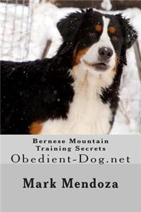 Bernese Mountain Training Secrets
