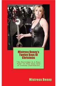 Mistress Benay's Twelve Days Of Christmas