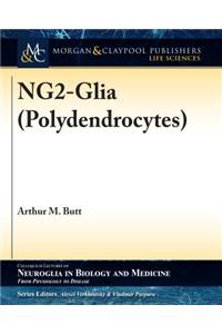NG2-Glia (Polydendrocytes)