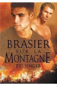 Brasier Sur La Montagne