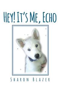 Hey! It's Me, Echo