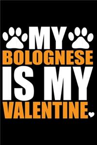 My Bolognese Is My Valentine