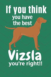 If you think you have the best Vizsla you're right!!