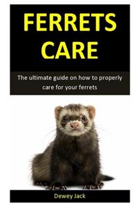 Ferret Care