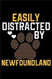 Easily Distracted by Newfoundland