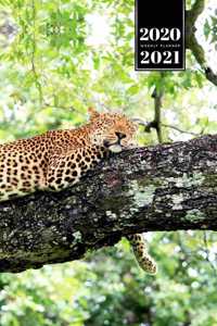 Panther Leopard Cheetah Cougar Week Planner Weekly Organizer Calendar 2020 / 2021 - Nap on a Tree