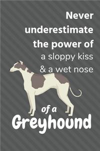 Never underestimate the power of a sloppy kiss & a wet nose of a Greyhound
