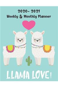 Llama Love 2020 - 2021 Weekly & Monthly Planner: Two Year Planner 2020 - 2021 - Calendar Schedule Organizer Agenda - Llama Alpaca Cover