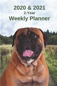 2020 & 2021 Weekly Planner - Two Year Appointment Book Gift - Two-Year Agenda Notebook for Mastiff Dog Owners
