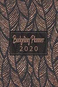 Budgeting Planner 2020