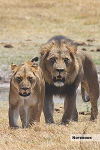 Lion Notebook