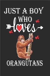 Just a Boy Who Loves Orangutans