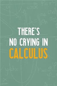 There's No Crying In Calculus