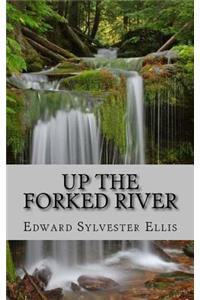 Up the Forked River