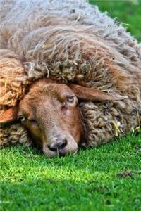 One Tuckered Out Sheep Journal