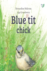 Blue tit chick