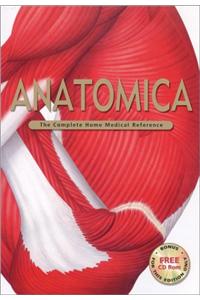 Anatomica