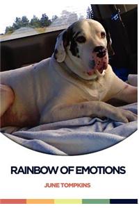 Rainbow of Emotions