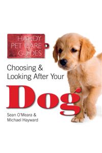 Choosing & Looking After Your Dog