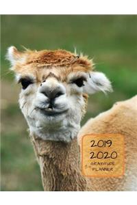 2019 2020 15 Months Llama Gratitude Journal Daily Planner