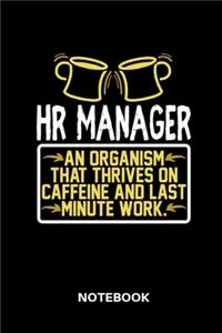 HR-Manager - Notebook