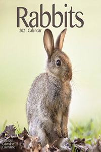 Rabbits 2021 Wall Calendar