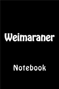 Weimaraner