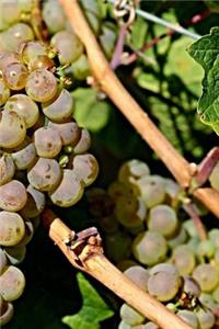 Viticulture Notebook
