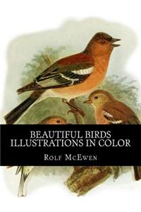 Beautiful Birds - Illustrations in Color