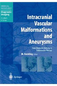 Intracranial Vascular Malformations and Aneurysms: From Diagnostic Work- Up to Endovascular Therapy