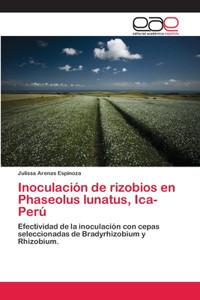 Inoculacion de Rizobios En Phaseolus Lunatus, Ica-Peru