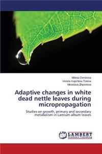 Adaptive changes in white dead nettle leaves during micropropagation
