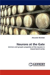 Neurons at the Gate