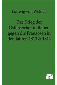 Krieg der Österreicher in Italien gegen die Franzosen in den Jahren 1813 & 1814