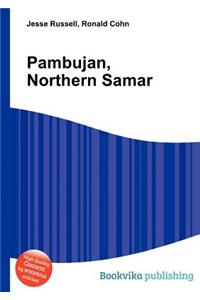 Pambujan, Northern Samar
