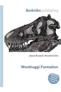 Wonthaggi Formation