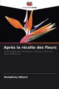 Après la récolte des fleurs