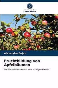 Fruchtbildung von Apfelbäumen