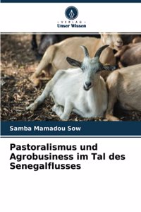 Pastoralismus und Agrobusiness im Tal des Senegalflusses