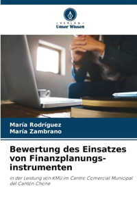 Bewertung des Einsatzes von Finanzplanungs-instrumenten