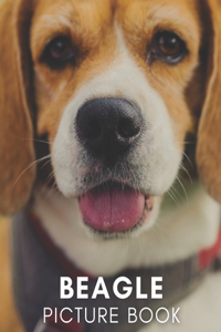 Beagle Picture Book