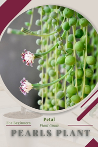 Pearls Plant