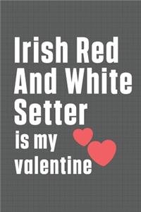 Irish Red And White Setter is my valentine