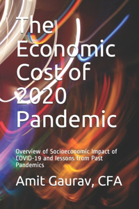 Economic Cost of 2020 Pandemic